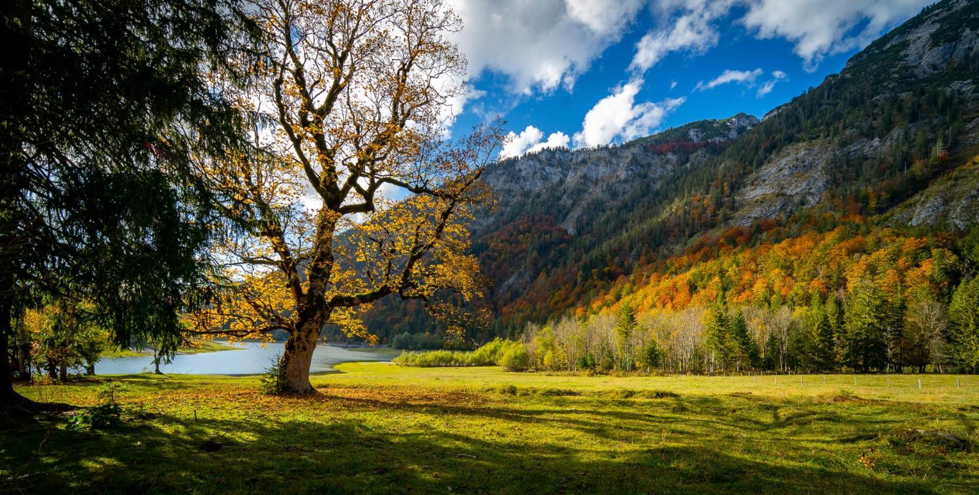 Ferienwohnungen Hollweger Inkl. Chiemgaukarte Ruhpolding Exterior foto