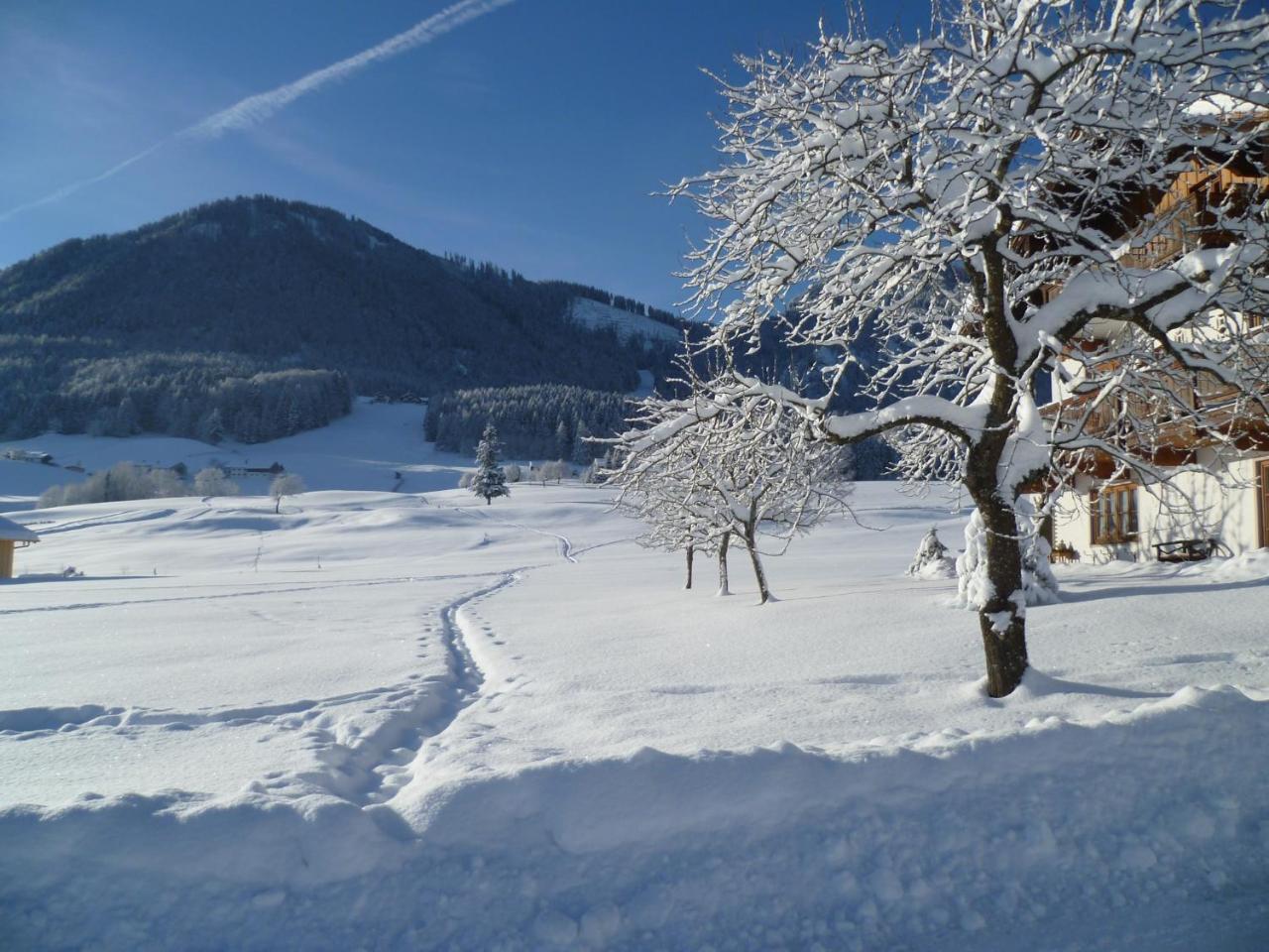 Ferienwohnungen Hollweger Inkl. Chiemgaukarte Ruhpolding Exterior foto
